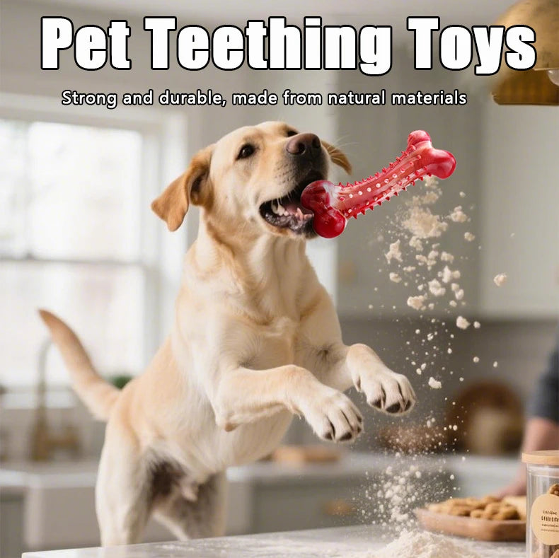 נשכן עמיד במיוחד לכלבים גדולים – בטעם בקר